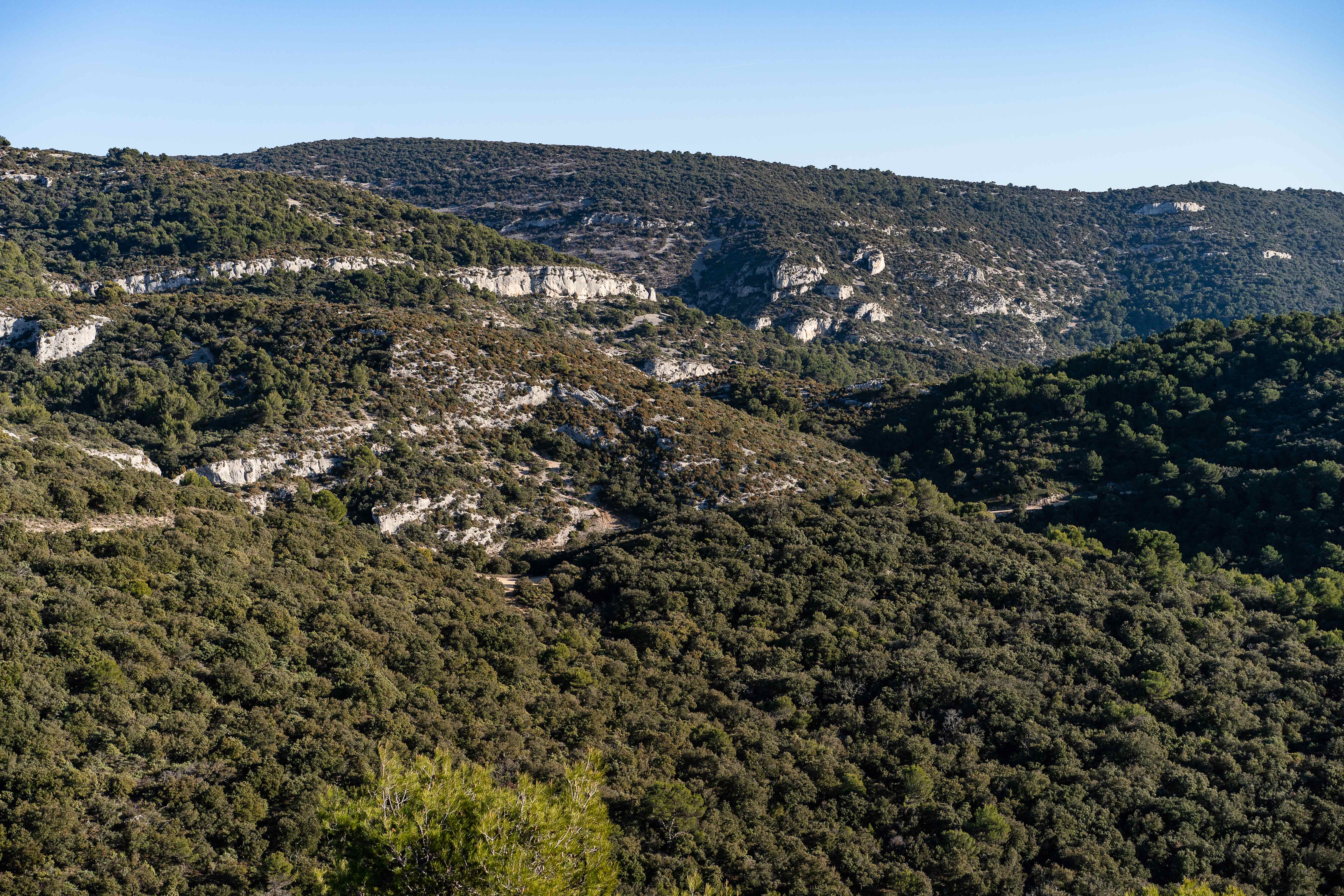Trail des Monts de Vaucluse Saumane